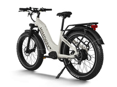 HIMIWAY Premium All-terrain Electric Fat Bike Zebra D5 ST