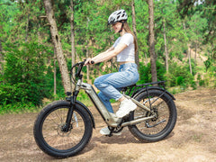 VELOWAVE Ranger Step-Thru 2.0 Electric Bike