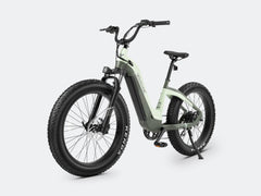 VELOWAVE Grace 2.0 Step-Thru Electric Bike