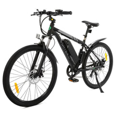 ECOTRIC UL Certified Vortex Electric City Bike - Matt Black