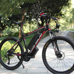 SMLRO C6 1000W Rear Hub Motor Electric Bike