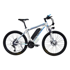 SMLRO C6 1000W Rear Hub Motor Electric Bike