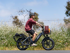 HIMIWAY Electric Cargo Bike Big Dog