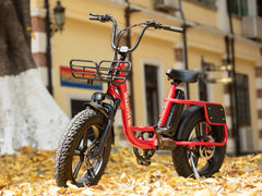 VELOWAVE Prado S Commuter Electric Bike